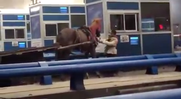 Capture d’écran 2019-08-16 à 16.04.27