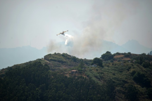 incendie canarie