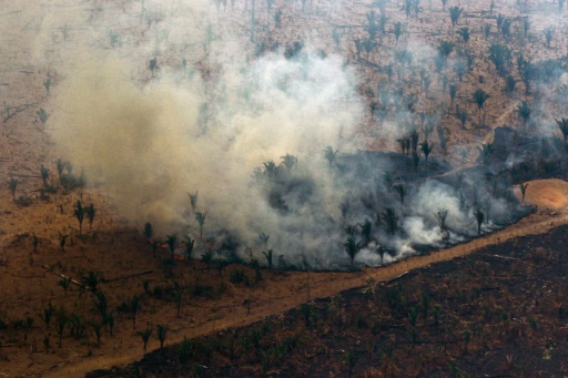 incendie forêt amazienne amazonie