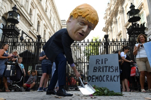manif Downing Street londres