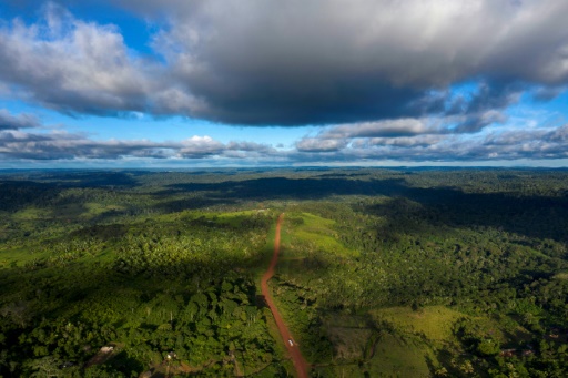 Vue aérienne de la route transamazonienne