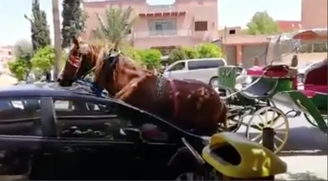 Capture d’écran 2019-09-06 à 12.11.44