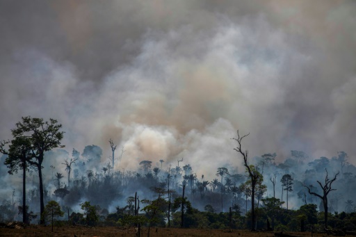 Incendies en Amazonie