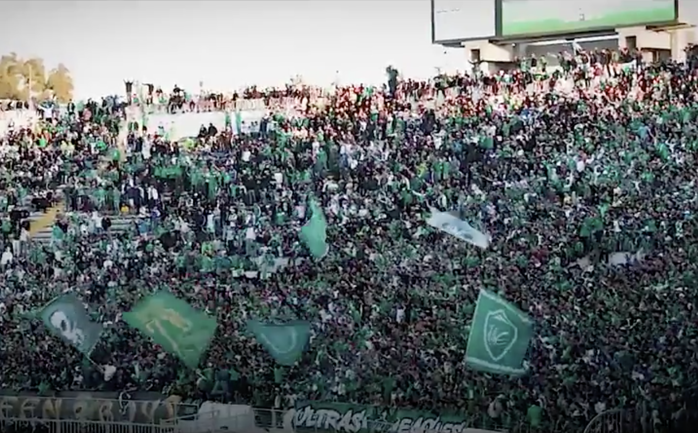 ultras supporters maroc