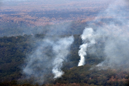 feu de forêt australie