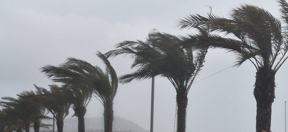 Météo: De Fortes Rafales De Vent Attendues - La Nouvelle Tribune