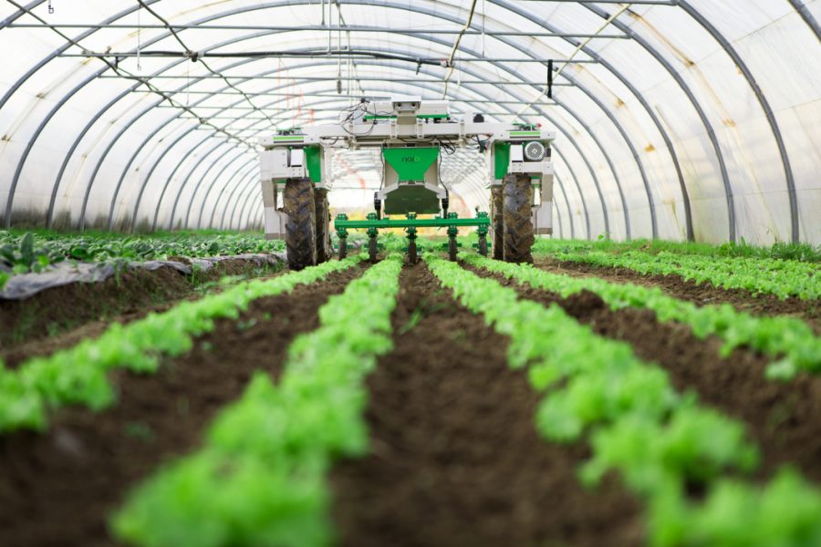 Génération Green agriculture
