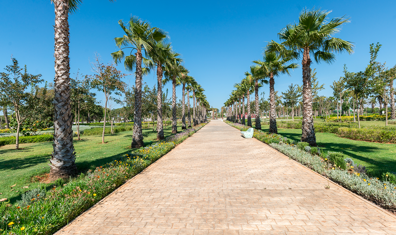 rabat espace vert ville verte