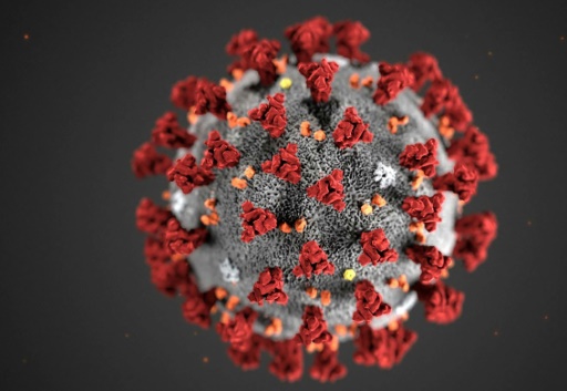site coronavirus