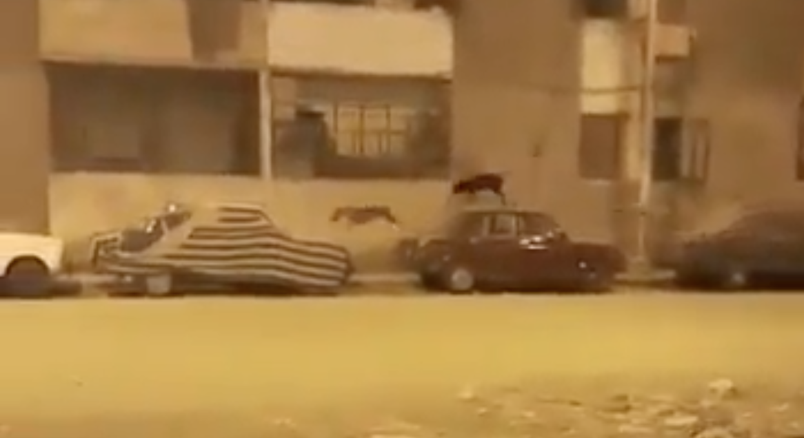 Capture d’écran 2020-05-04 à 12.06.49