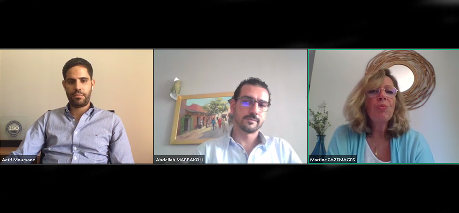 sage webinaire