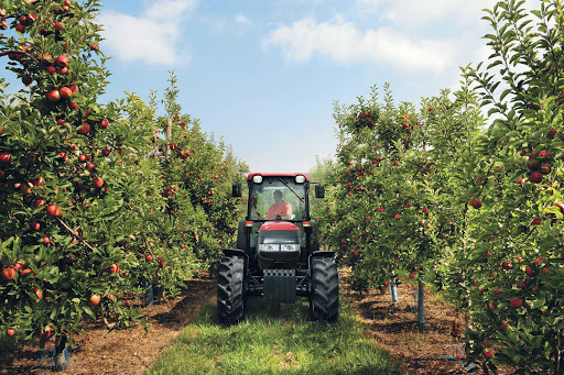agriculture arboriculture