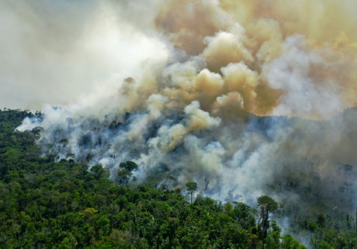 feu de forêt en Amazonie brésilienne