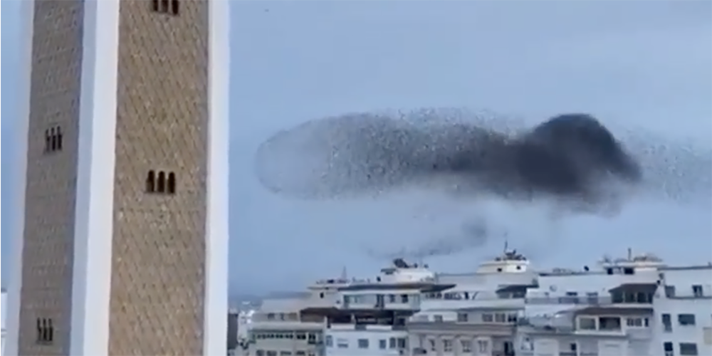 Capture d’écran 2020-12-30 à 12.21.28