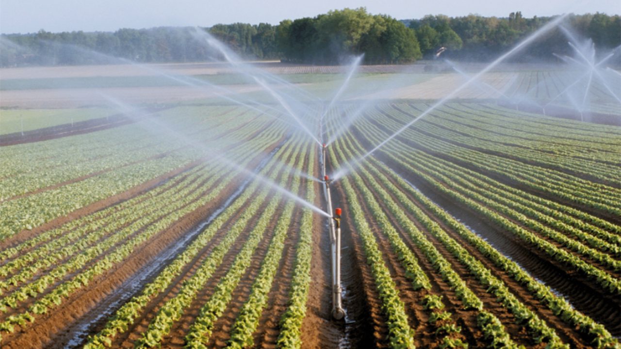 agriculture-irrigation