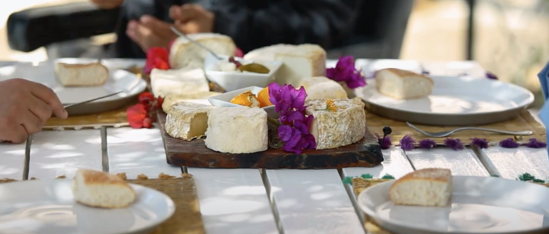 Capture d’écran 2021-05-03 à 12.48.23