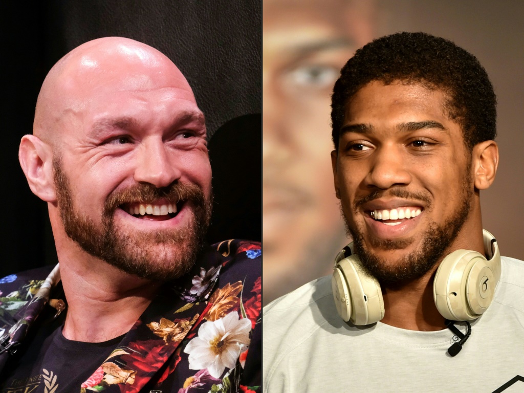 tyson fury et anthony joshua