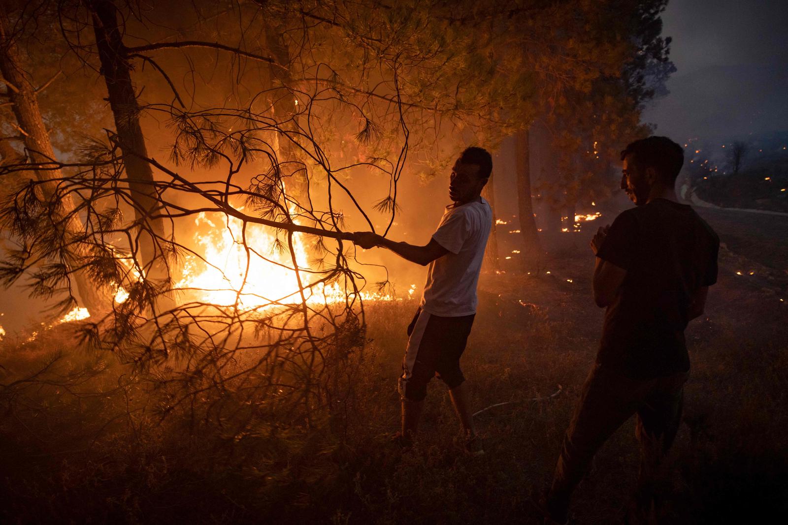 feu de fôret france