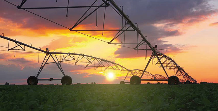 irrigation-Agriculture