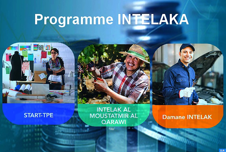 Programme Intelaka