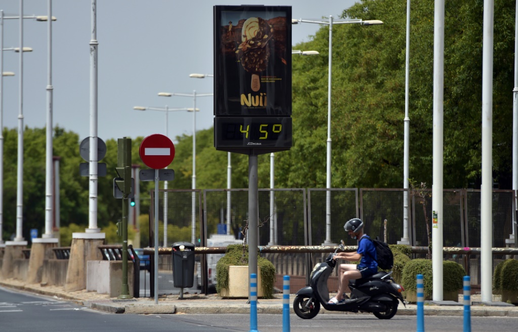 urn_newsml_afp.com_20210819_d23c2bfb-5111-4575-a5ea-5add4d817c52_ipad