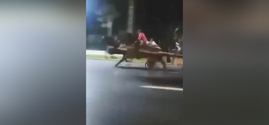 course chevaux