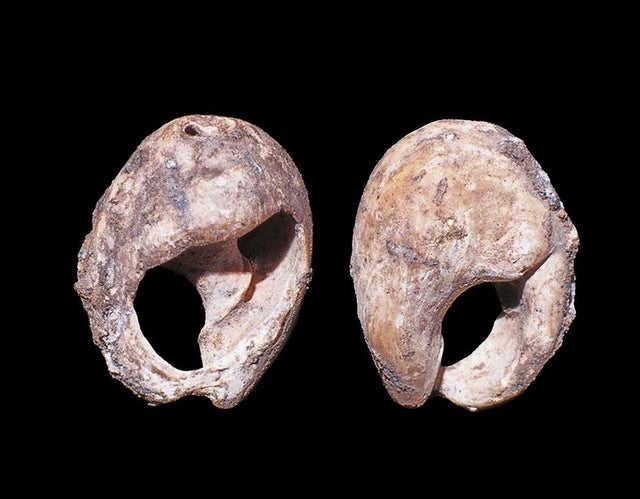 rnhUcXXvud7eMNBvjPmoVcWarPySHdzlLRORPBjUSD0