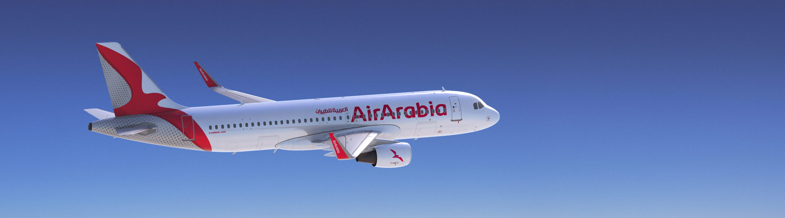 Above The Clouds Photo of puffy clouds