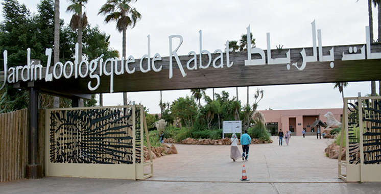 Jardin-zoologique-de-Rabat