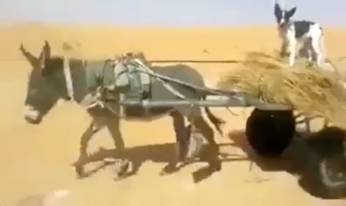 Capture d’écran 2022-03-11 à 10.37.36