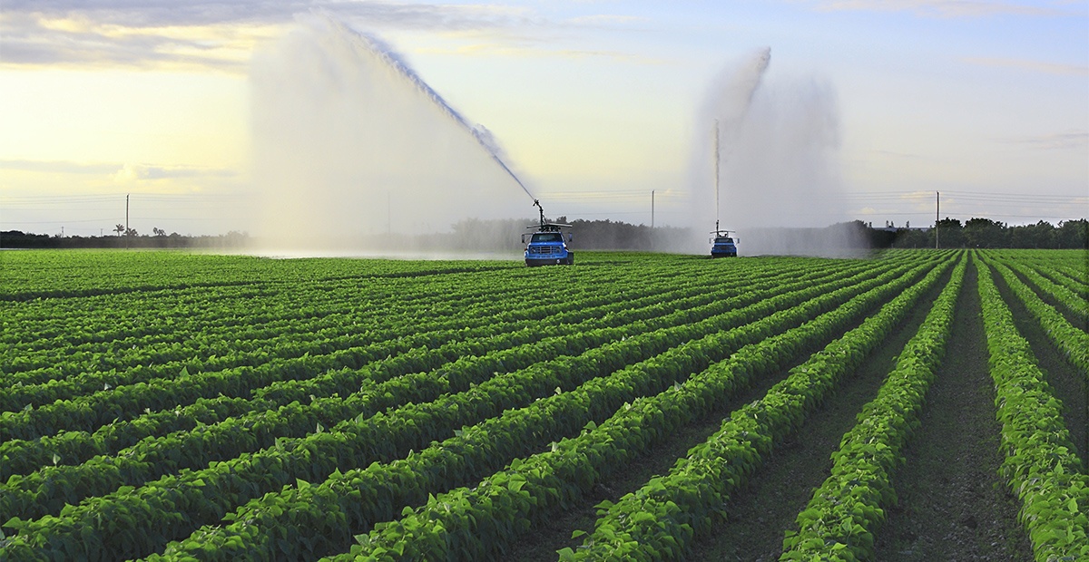 eau agriculture
