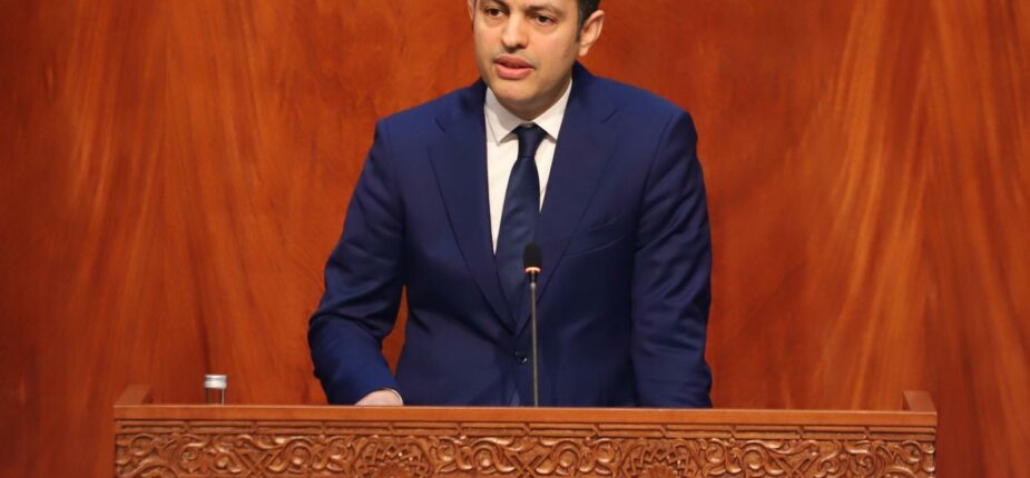 Ministre de l'Inclusion économique, de la petite entreprise, de l'emploi et des compétences, Younes Sekkouri.