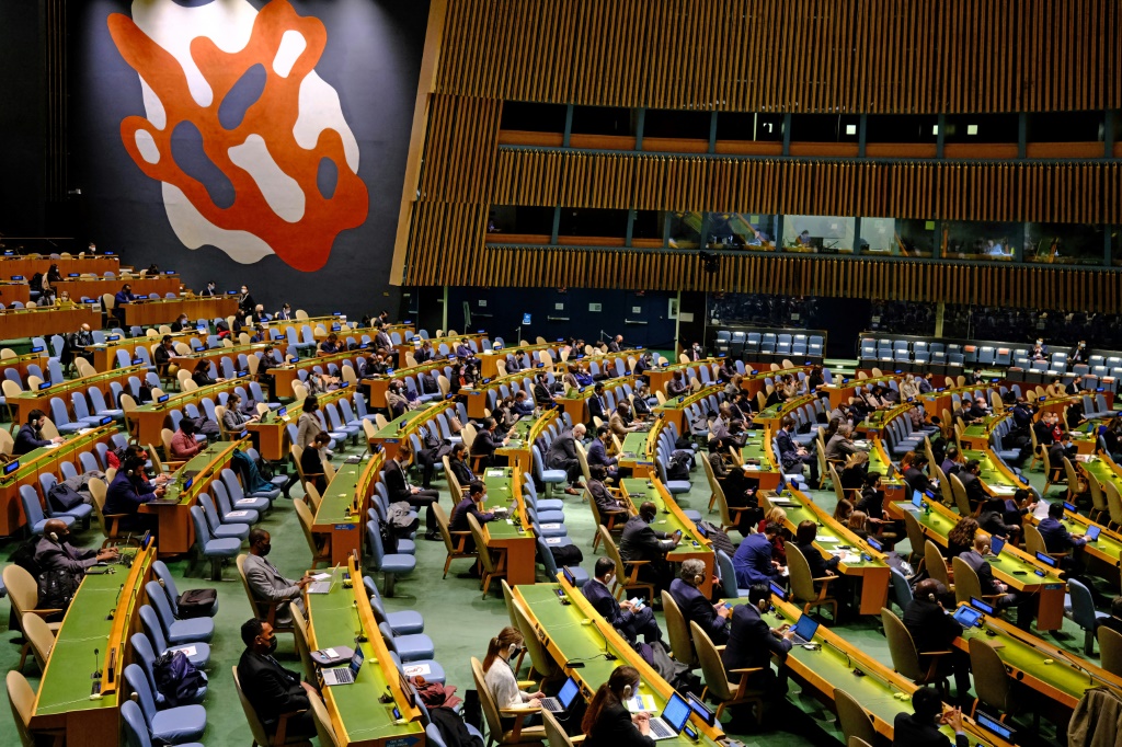 Assemblée générale de l’ONU