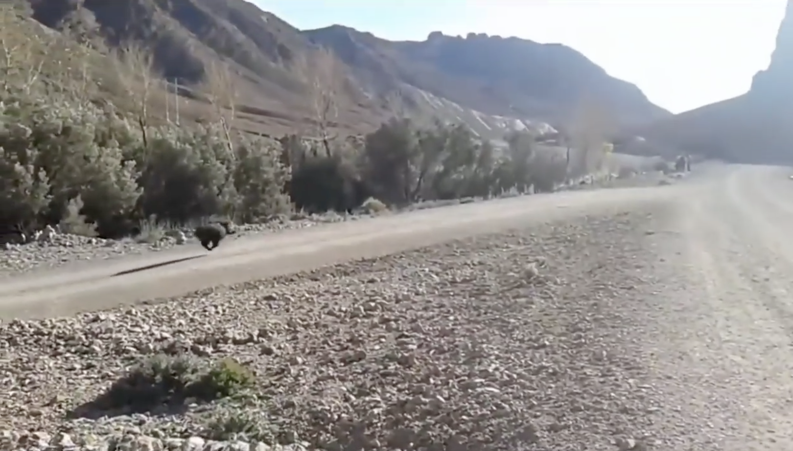 Capture d’écran 2022-05-23 à 14.35.35