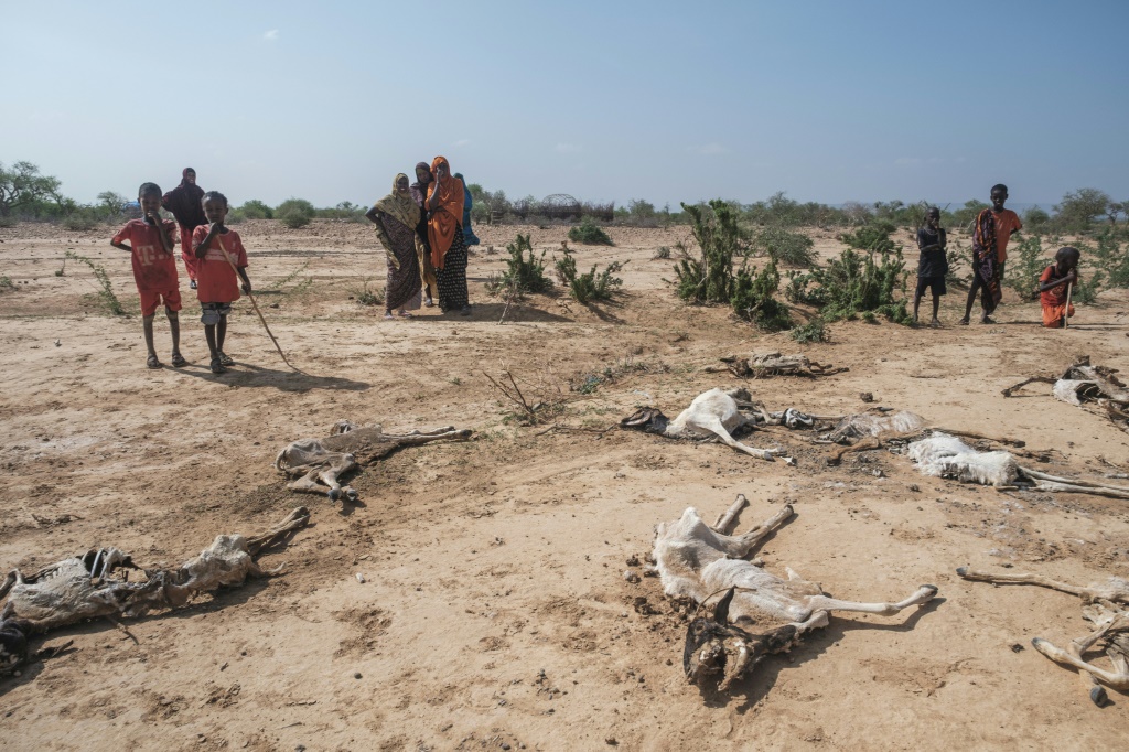 sécheresse famine afrique