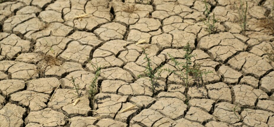 Des terres agricoles totalement desséchées dans le village de Jaliha, dans le centre de l'Irak le 26 avril 2022