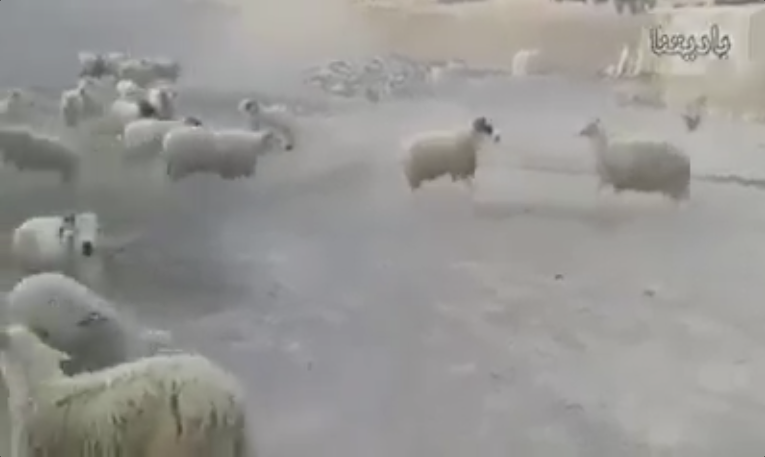 Capture d’écran 2022-06-30 à 13.43.03