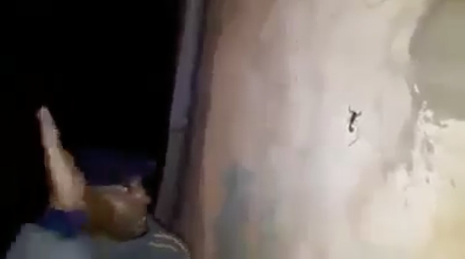 Capture d’écran 2022-06-30 à 13.43.28