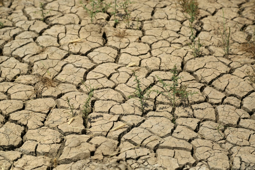 sécheresse climat