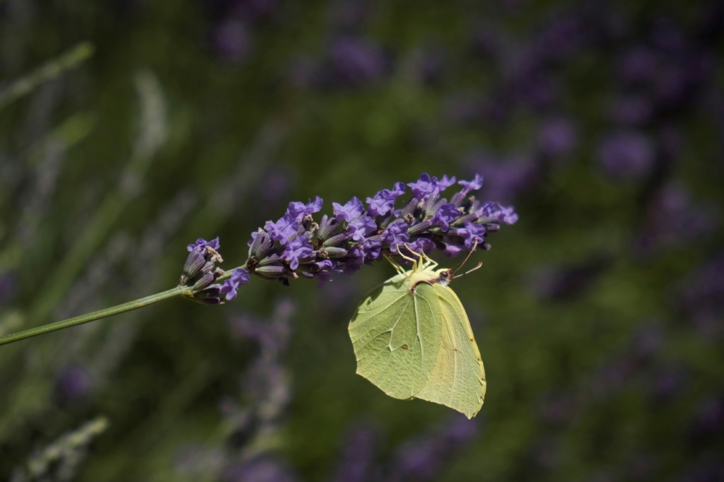 urn_newsml_afp.com_20220620_347457b9-fb24-43b3-b21c-c97d7013adac_ipad