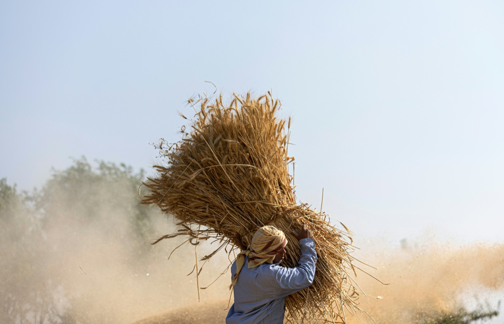 environnement agriculture