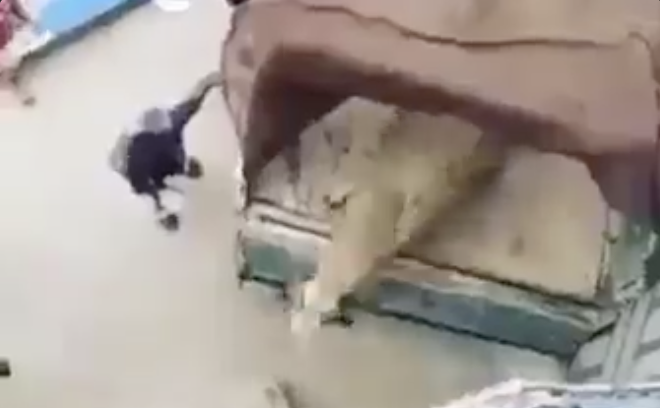 Capture d’écran 2022-07-07 à 11.27.59