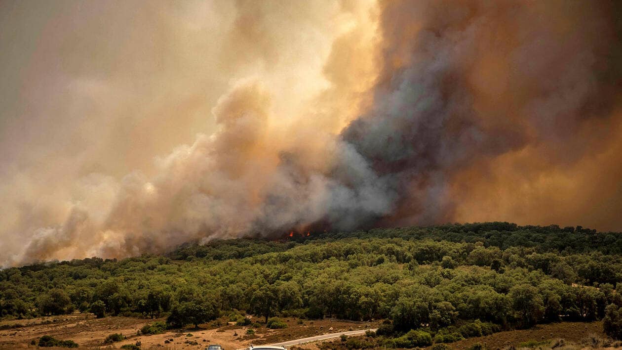 incendie maroc