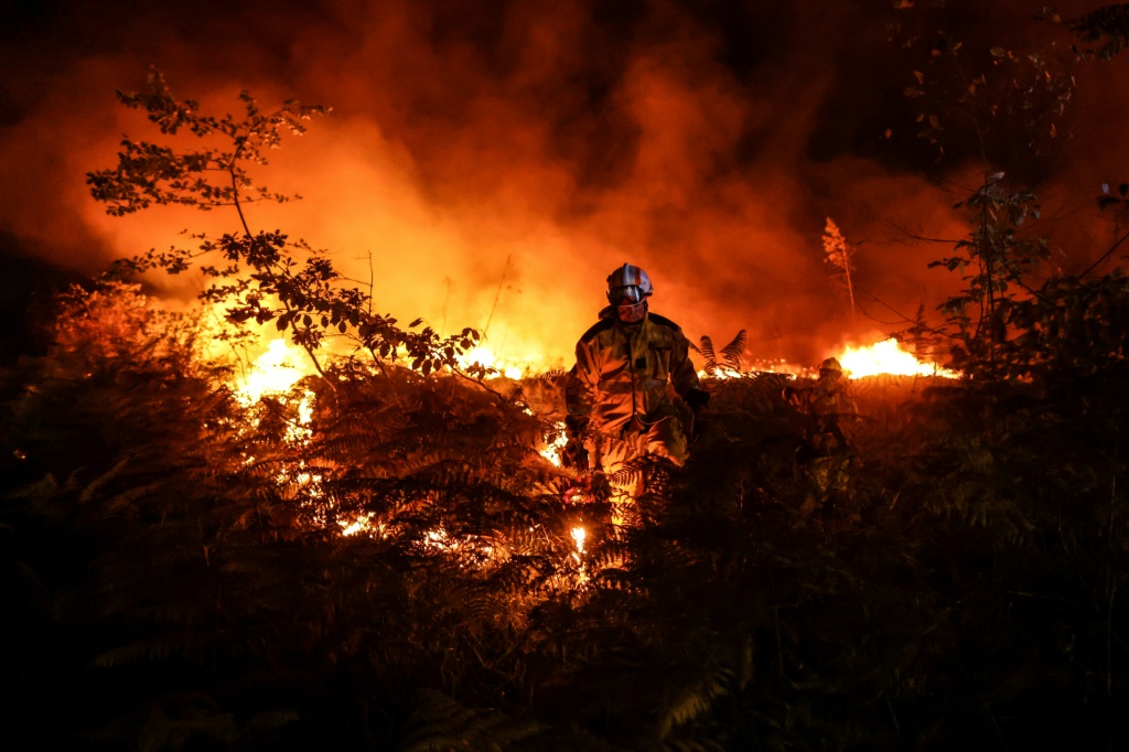 incendies feux de forêt