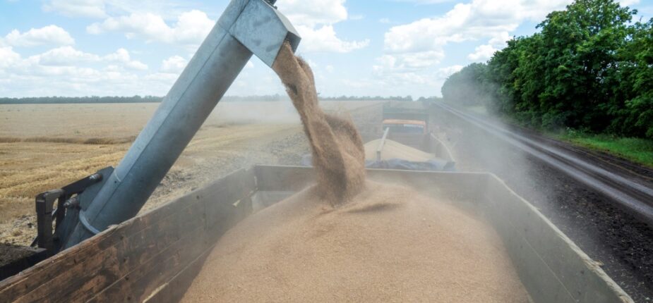 La moisson dans la région de Kharkiv, nord-est de l'Ukraine, le 19 février 2022