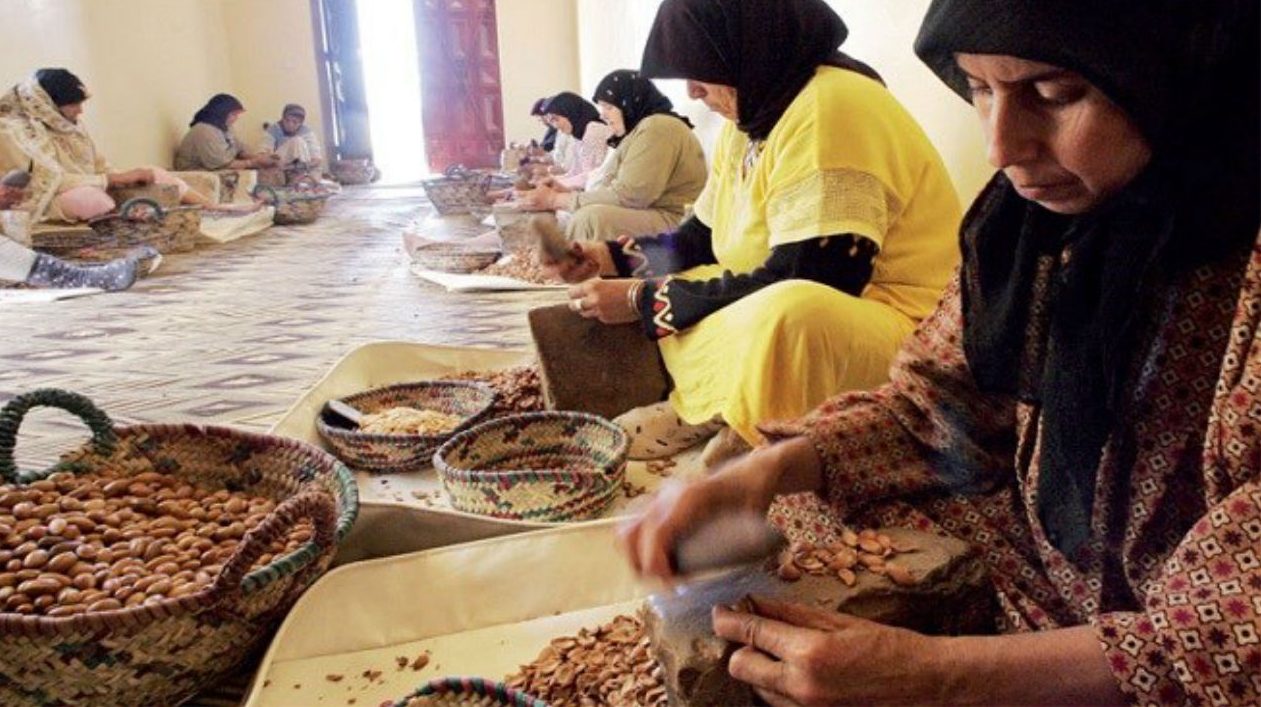 Cooperatives agricoles maroc