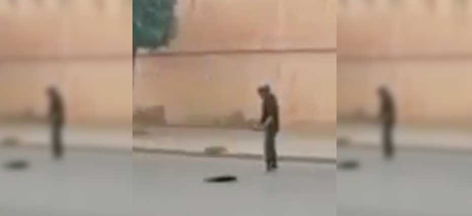 IMG-2