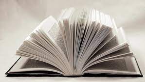 salon liver essaouira