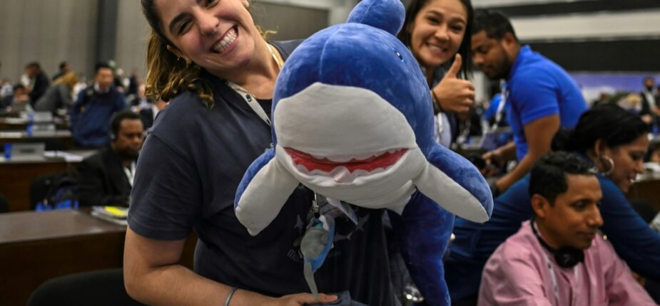 La déléguée du Panama, Shirley Binder, se réjouit après l'approbation en comité de résolutions pour protéger le requin requiem et le requin-marteau, à la COP19 à Panama le 17 novembre 2022