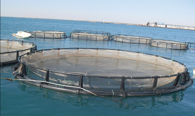 Photo AQUACULTURE